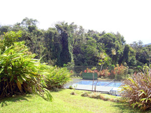 At the lower part of the nearly 7 acres is this full-size tennis court.